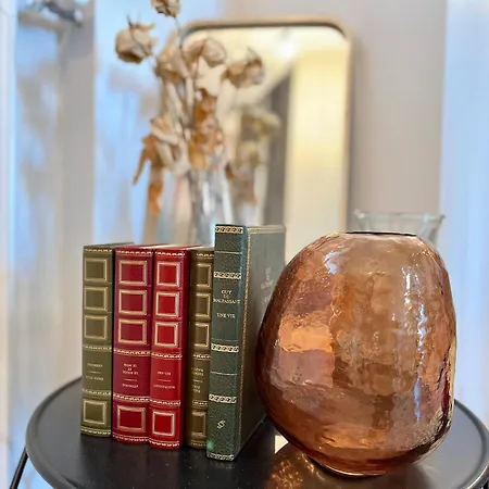 Appart' Chaleureux Avec Balcon/800m Gare Et Centre *